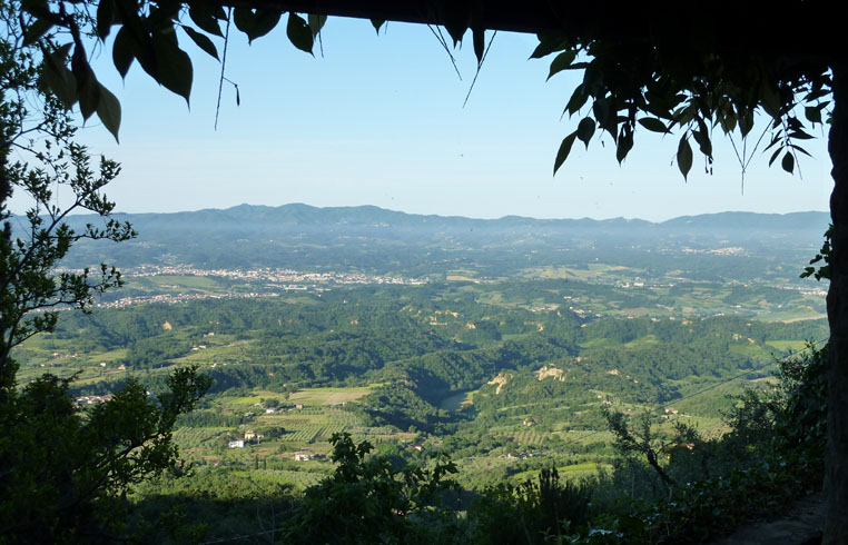 Terrace View of Arno Valley